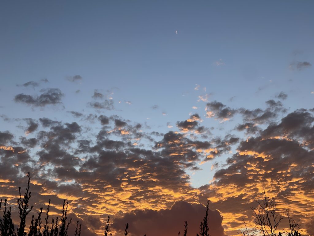 Wellness To Gather NM Sky holistic health coaching