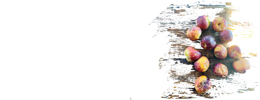 Wellness To Gather Home Grown Peaches Subscribe to Wellness To Gather